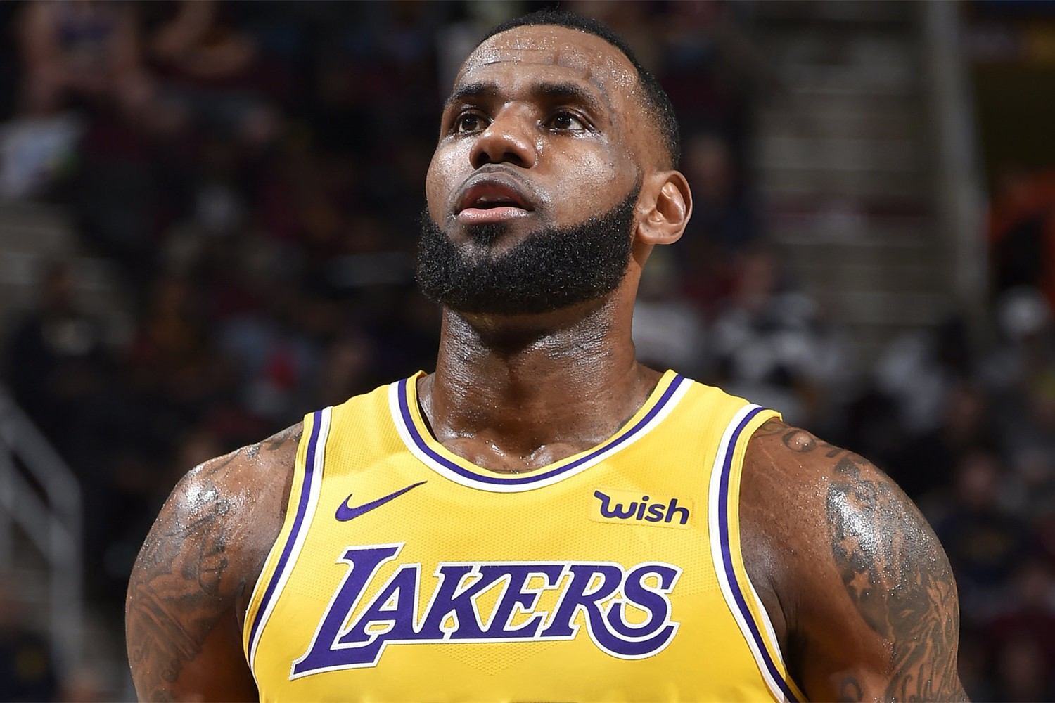 开云-Rookie连续三场比赛得分超过刷新纪录，湖人不断突破！-开云